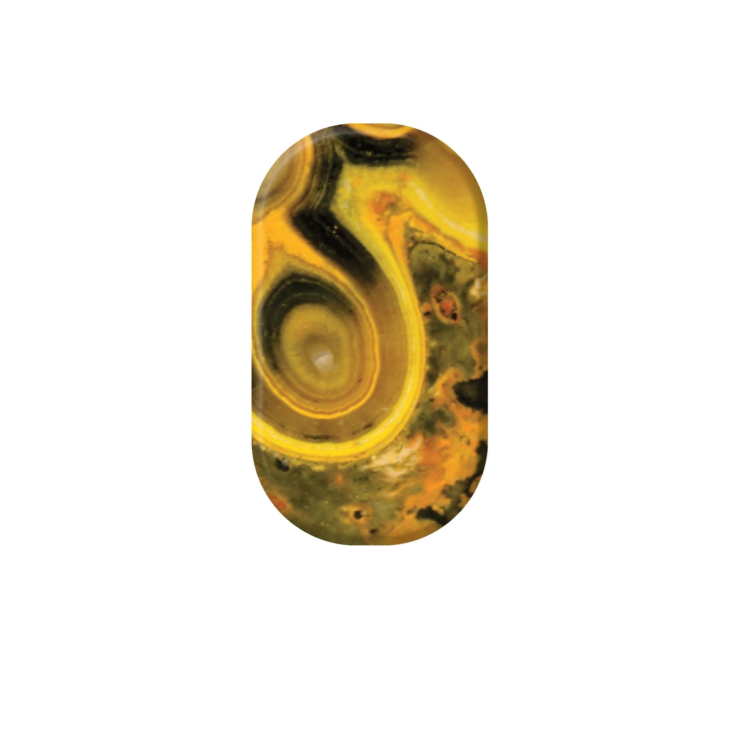 Bumble Bee Jasper