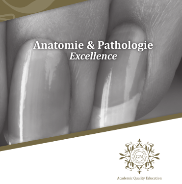 Bootcamp cursus Anatomie & Pathologie deel 1 - 2025 30 maart tot 6 april in Frankrijk