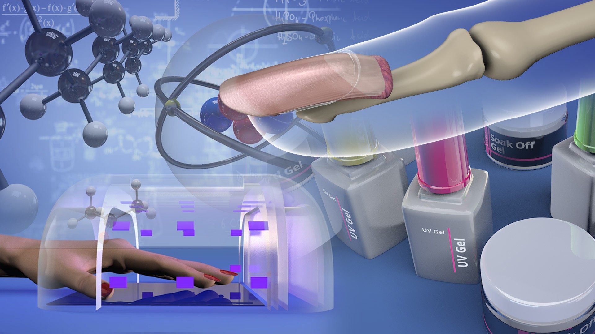 The Essential Nail Professional